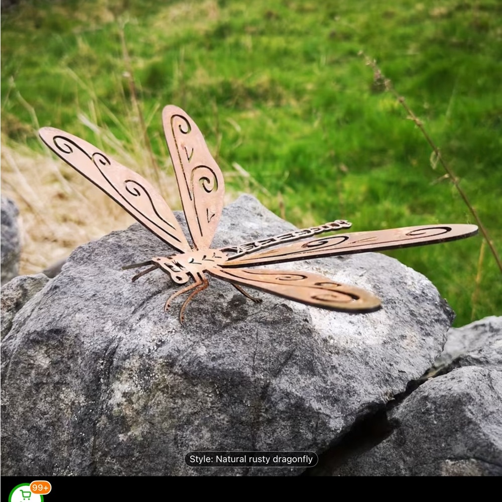 Dragonfly - Picture 6 of 8